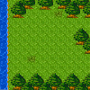 Zauberwald