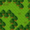 Zauberwald