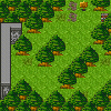 Zauberwald