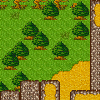Zauberwald